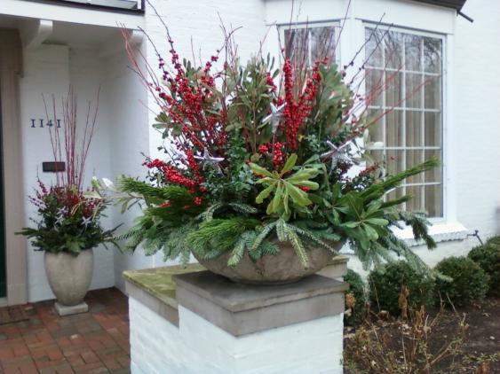 Winter Container Plantings | Whitehouse Landscaping