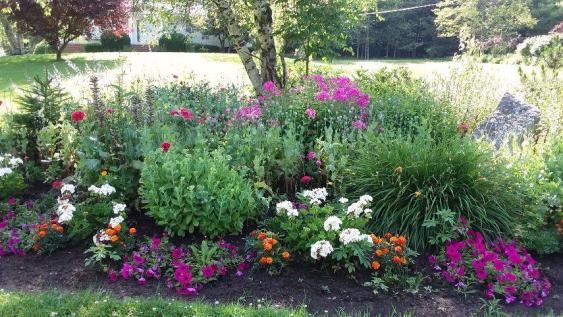 Front Yard Landscape Design for Your Montgomery or Chester County Home ...