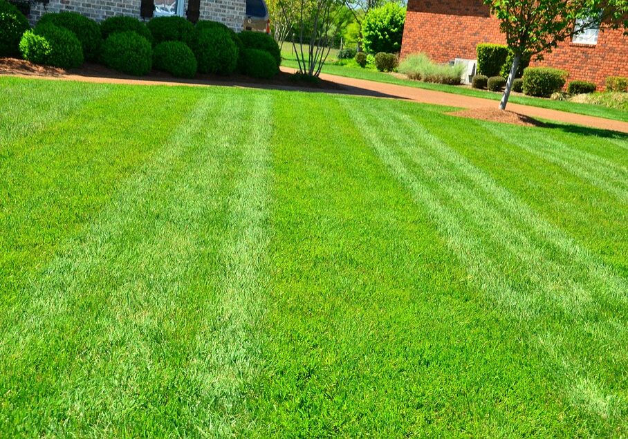 1955266290795481109-lawn_care