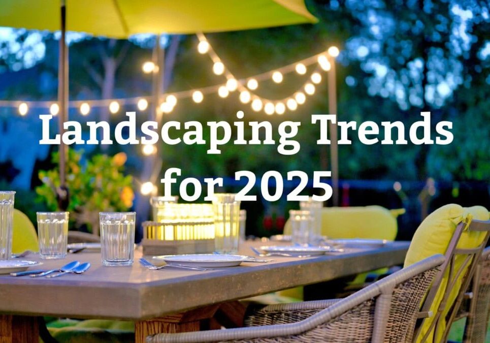 Landscaping trends 2025 Revised