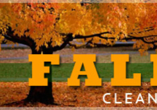 fall-cleanup