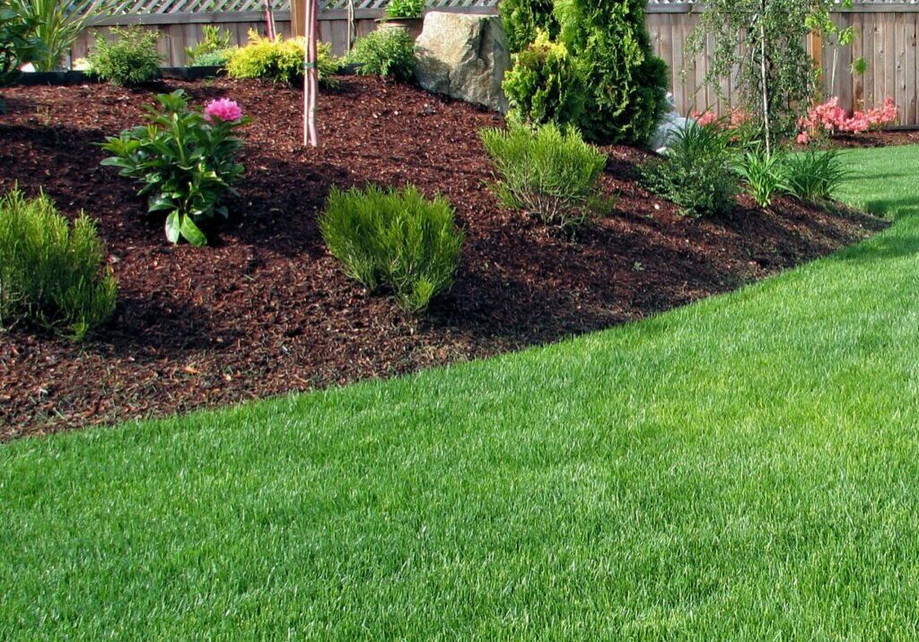 thick-green-weed-free-lawn-2