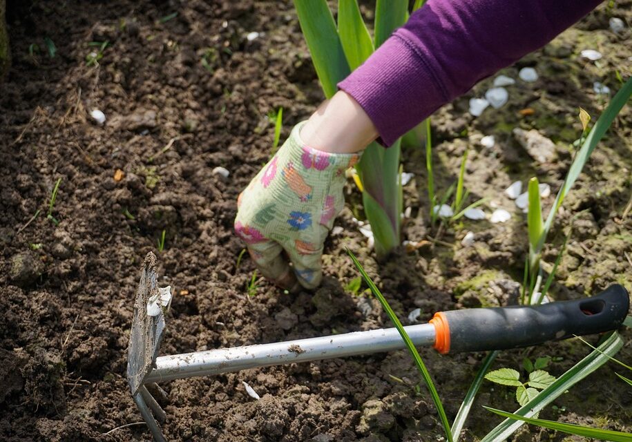 work-in-the-garden-2432111_960_720